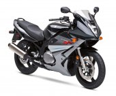 2009 Suzuki GS500F photo